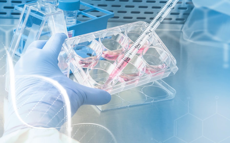 US Molecular Diagnostics market is estimated to reach $7366.7 million in 2022 with a CAGR of 9.5% from 2024 to 2031